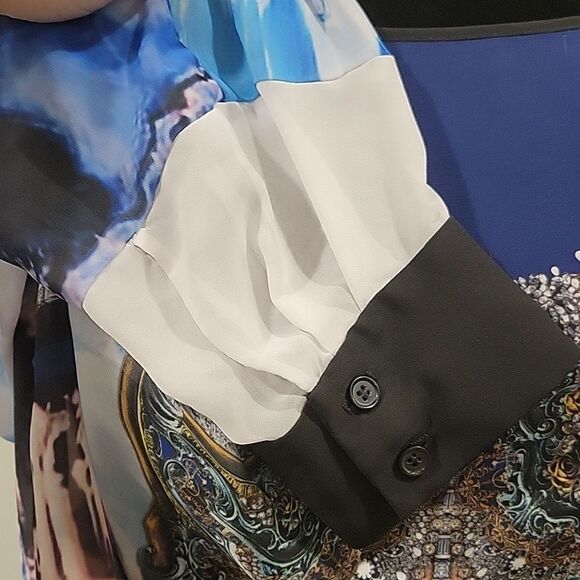 Clover Canyon Sheer Top M - Picture 3 of 6